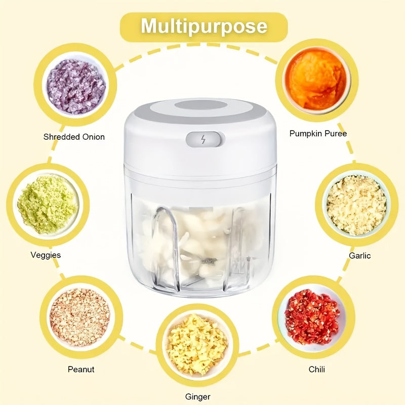 Stainless Steel Electric Mini Garlic Chopper Mincer, 8.45oz/250ml, USB Portable Meat Grinder for Nuts, Vegetables, Fruits - Easy to Clean, Cordless Kitchen Tool father gift