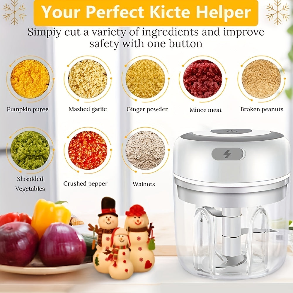 Stainless Steel Electric Mini Garlic Chopper Mincer, 8.45oz/250ml, USB Portable Meat Grinder for Nuts, Vegetables, Fruits - Easy to Clean, Cordless Kitchen Tool father gift