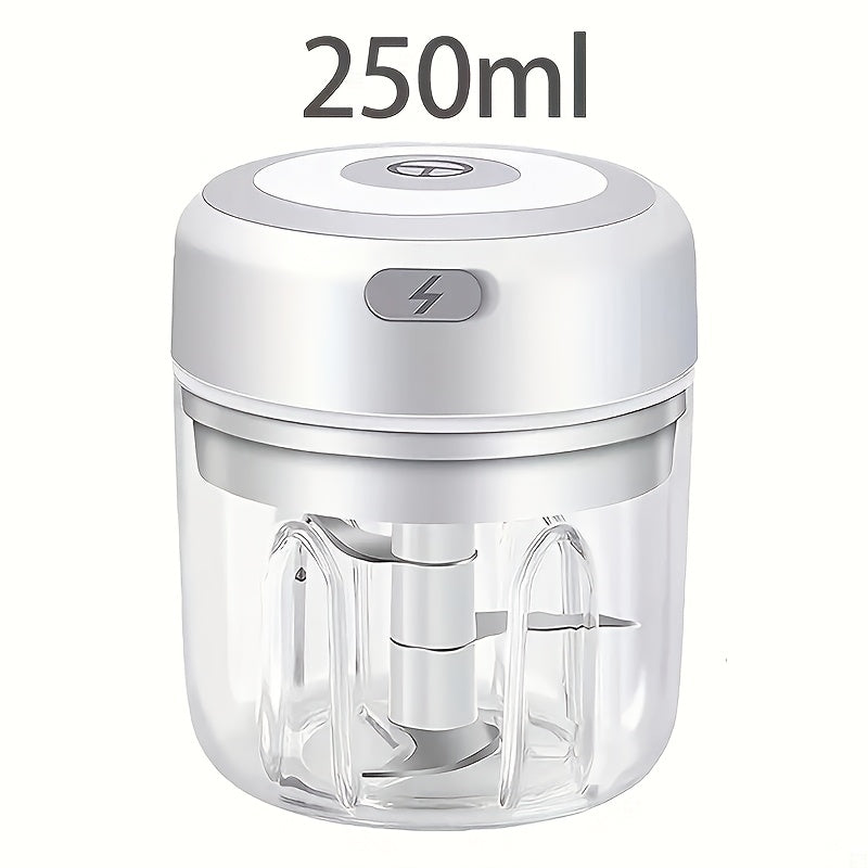 Stainless Steel Electric Mini Garlic Chopper Mincer, 8.45oz/250ml, USB Portable Meat Grinder for Nuts, Vegetables, Fruits - Easy to Clean, Cordless Kitchen Tool father gift