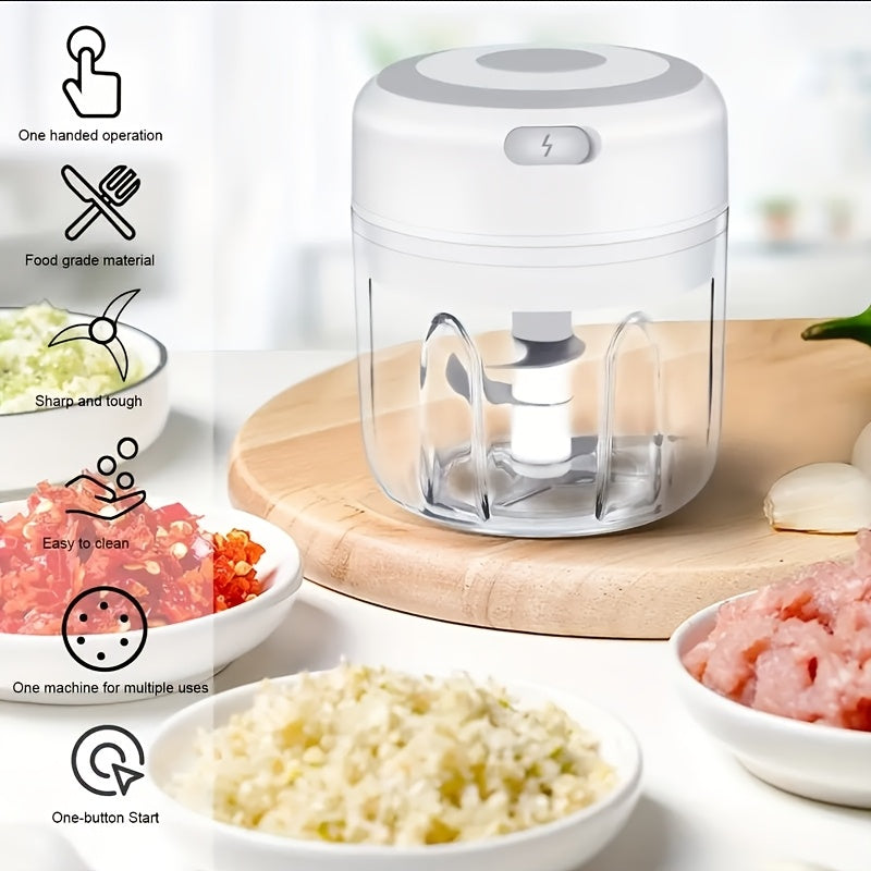 Stainless Steel Electric Mini Garlic Chopper Mincer, 8.45oz/250ml, USB Portable Meat Grinder for Nuts, Vegetables, Fruits - Easy to Clean, Cordless Kitchen Tool father gift